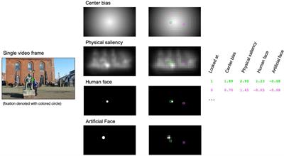 Artificial Faces Predict Gaze Allocation in Complex Dynamic Scenes